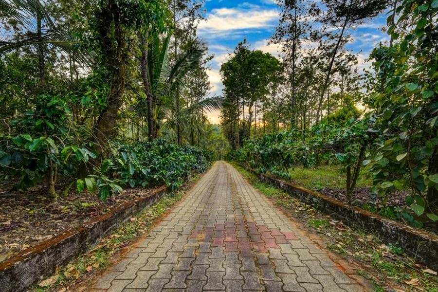 Coorg Bliss Estate Stay マディケーリ エクステリア 写真