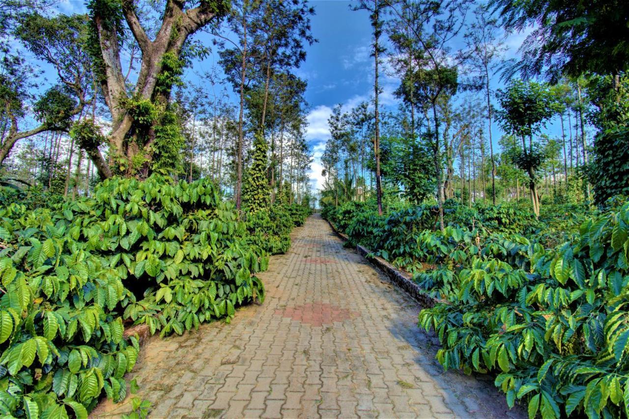 Coorg Bliss Estate Stay マディケーリ エクステリア 写真