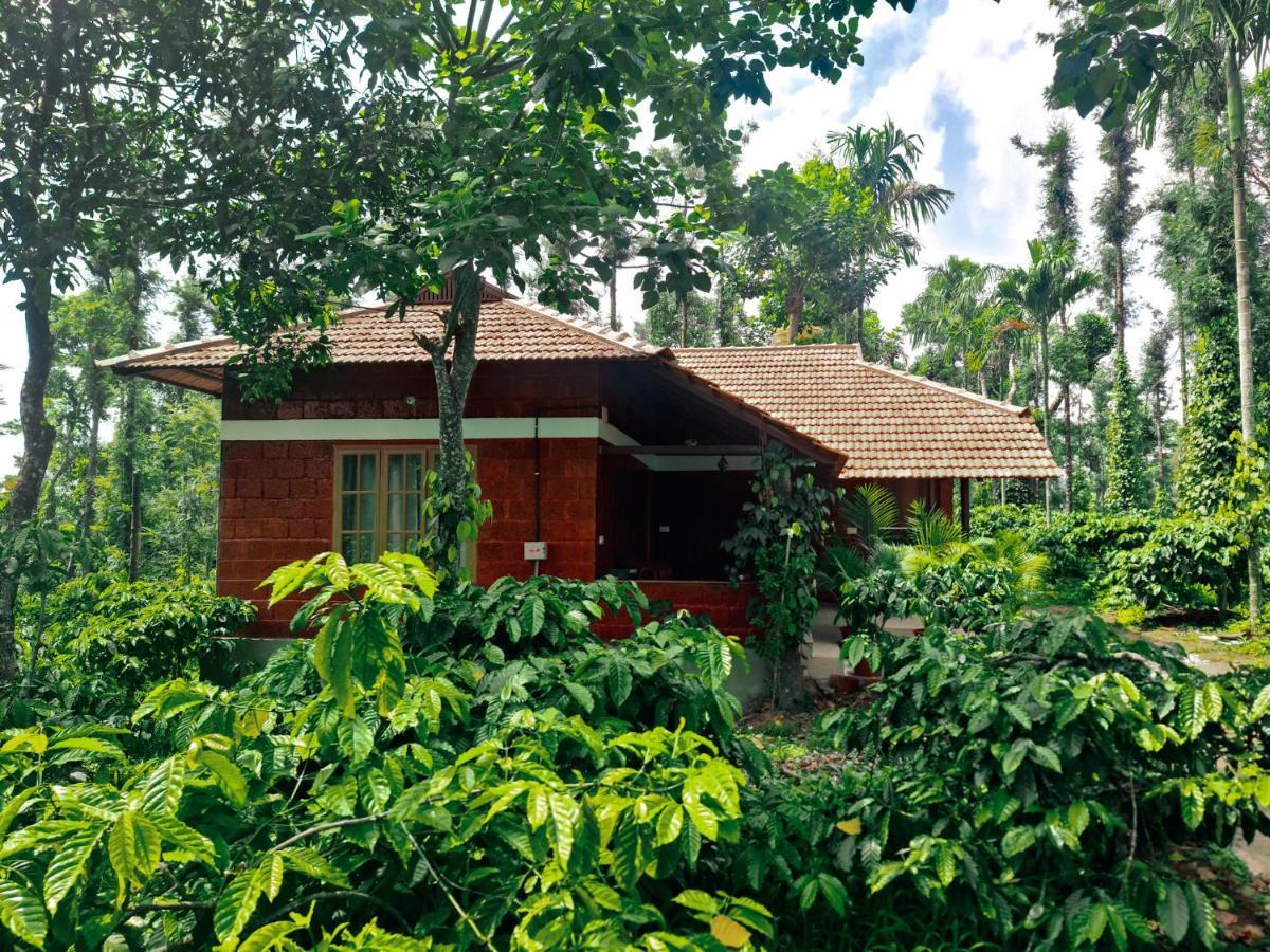 Coorg Bliss Estate Stay マディケーリ エクステリア 写真